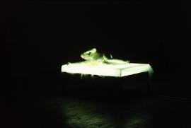 Exhibition: Franko B., 2004, slide 60