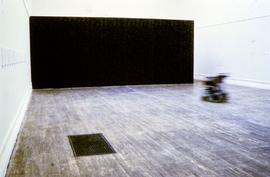 Exhibition: Donald Rodney, 1997, slide 16