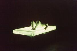 Exhibition: Franko B., 2004, slide 28