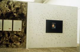 Exhibition: Stuart Brisley, 1996, slide 23
