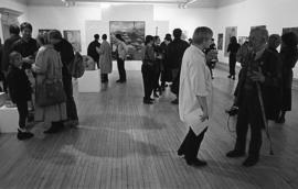 Origin: Southwark and Lewisham Open Exhibition, 1992, photo 8 (Phil Polglaze)