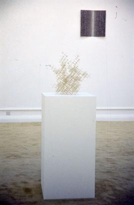 Exhibition: Domestic Bliss, 2000, slide 25