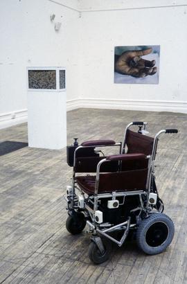 Exhibition: Donald Rodney, 1997, slide 18