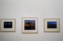 Exhibition: Stuart Brisley, 1996, slide 17