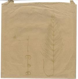 Anna Lucas: paper bag 3, front