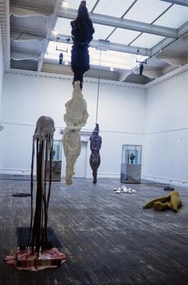 Exhibition: Marc Quinn, 1998, slide 39