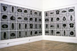 Exhibition: Bad Brains, 1995, slide 23