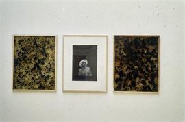 Exhibition: Stuart Brisley, 1996, slide 20