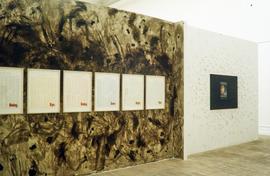 Exhibition: Stuart Brisley, 1996, slide 32