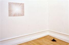 Exhibition: Tom Friedman, 2004, slide 44