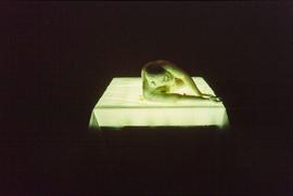 Exhibition: Franko B., 2004, slide 3