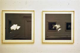 Exhibition: Jorge Molder, 1998, slide 30