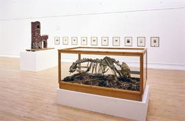 Exhibition: Mark Dion, 2005, slide 38