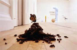 Exhibition: Tom Friedman, 2004, slide 8