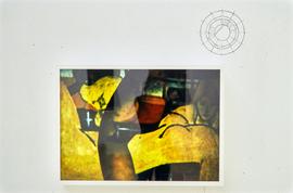 Exhibition: Shaheen Merali, 1994, slide 3