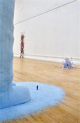 Exhibition: Tom Friedman, 2004, slide 60