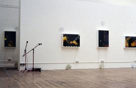 Exhibition: Shaheen Merali, 1994, slide 6