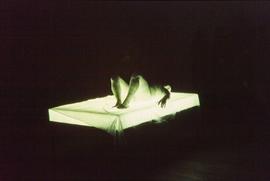 Exhibition: Franko B., 2004, slide 29