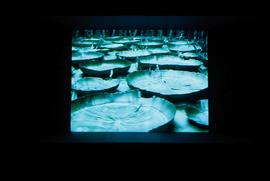 Exhibition: Saskia Olde Wolbers, 2005, slide 23