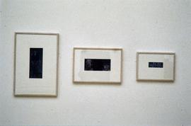 Exhibition: Stuart Brisley, 1996, slide 13