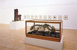 Exhibition: Mark Dion, 2005, slide 36