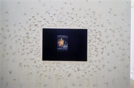 Exhibition: Stuart Brisley, 1996, slide 22