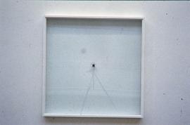 Exhibition: Donald Rodney, 1997, slide 5