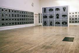 Exhibition: Bad Brains, 1995, slide 22