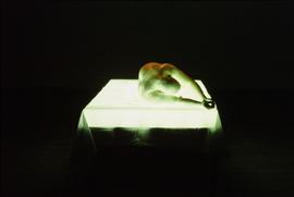 Exhibition: Franko B., 2004, slide 44