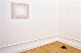 Exhibition: Tom Friedman, 2004, slide 45