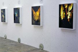 Exhibition: Shaheen Merali, 1994, slide 10