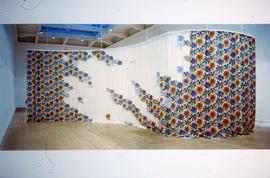Exhibition: Simon Starling: Djungel, 2003, slide 4
