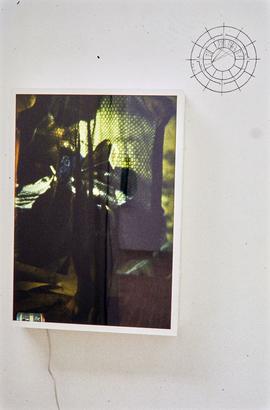 Exhibition: Shaheen Merali, 1994, slide 20