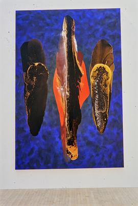 Exhibition: Nicholas May, 1994, slide 10