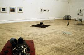 Exhibition: Stuart Brisley, 1996, slide 10
