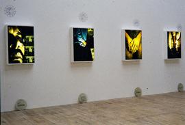 Exhibition: Shaheen Merali, 1994, slide 11